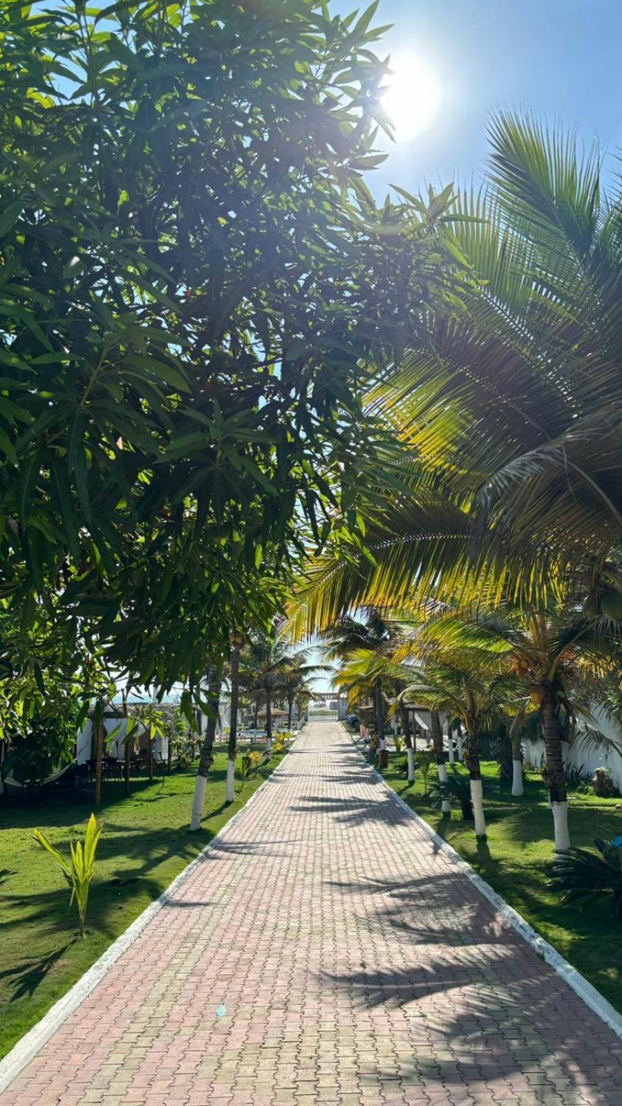 Hotel La Mar Playas Esterno foto